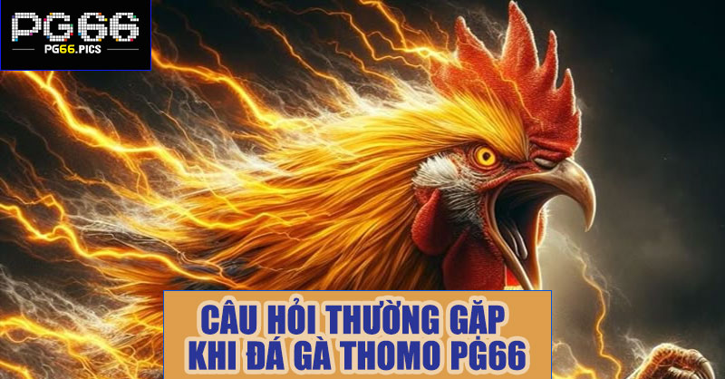 Câu hỏi thường gặp khi đá gà thomo PG66