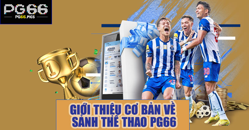 Giới thiệu cơ bản về sảnh thể thao PG66