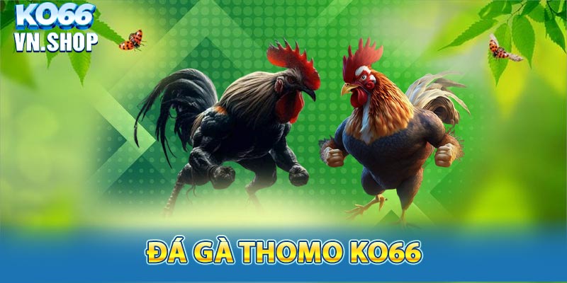 ĐÁ GÀ THOMO