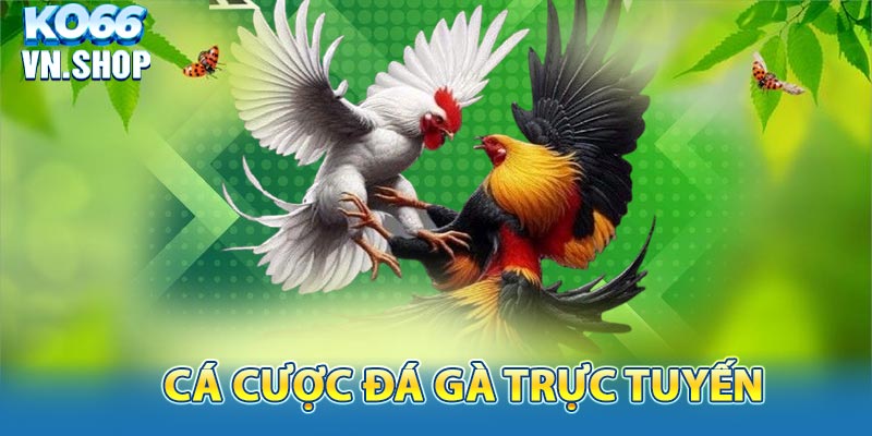 Tổng quan về cược đá gà trực tuyến