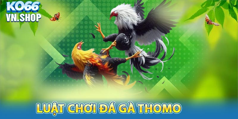 Luật chơi đá gà thomo